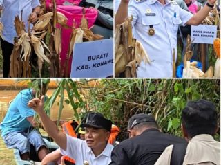 Bupati-Wabup Konawe Naik Perahu Arungi Sungai, Hadiri Panen Jagung Non-Pupuk Kimia di Desa Tetehaka