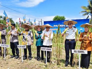 Dukung Keberlanjutan Program Ketahanan Pangan, Konawe Siap Suplai Benih dan Bibit