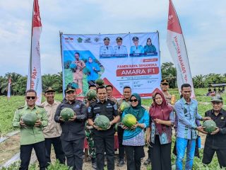 Dari Panen Semangka ke Solusi Banjir, Bupati Konawe Tegaskan Pemkab Tak Akan Lepas Tangan