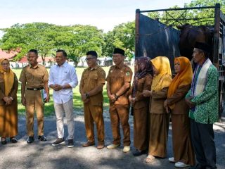 Bupati Konawe Serahkan Bantuan Sapi Kurban Presiden kepada Warga Tabanggele