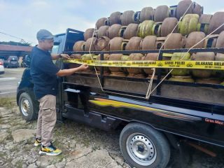 Kelangkaan LPG di Konawe Terkuak, Polisi Gagalkan Pengiriman 420 Tabung Gas Melon ke Morowali