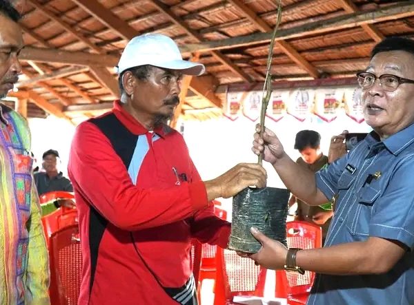 Wabup Konawe Salurkan Bantuan Bibit Durian dan Sarana Produksi di Onembute