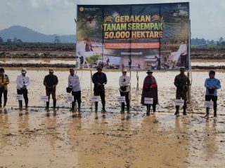 Konawe Jadi Pusat Gerakan Tanam Serempak Nasional
