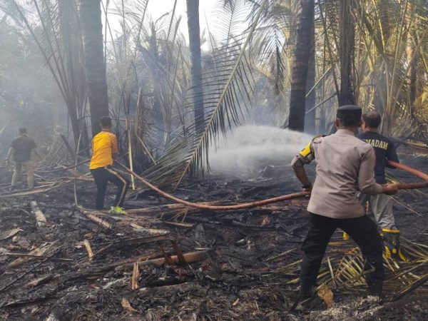 Karhutla Dekati Permukiman Warga Lambuya,  Polisi-TNI dan Damkar Berjibaku Padamkan Api