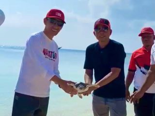 Yusran Akbar dan Haliana Lepas Penyu, Serukan Pelestarian Laut Wakatobi