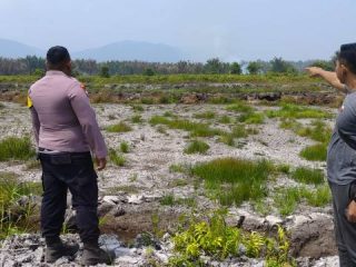 Kebakaran Hutan Sagu di Onembute Meluas Hingga 1 Kilometer