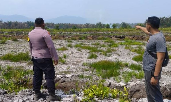 Kebakaran Hutan Sagu di Onembute Meluas Hingga 1 Kilometer