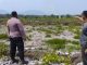 Kebakaran Hutan Sagu di Onembute Meluas Hingga 1 Kilometer