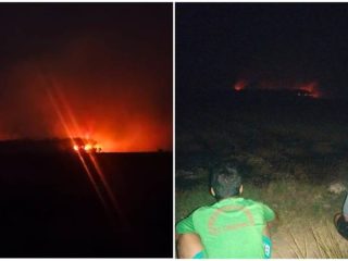 Lahan Sagu di Onembute Terbakar, Warga Berjaga Antisipasi Kebakaran Meluas